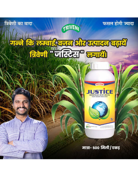 TRIVENI JUSTICE - Growth Regulators