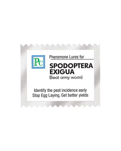 Pheromone Combo Pack Replacement for CHILLIES AND CAPSICUM Traps & Lures