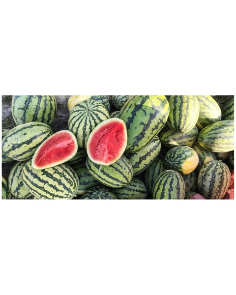 Sagar Supremo F1 Watermelon Seeds