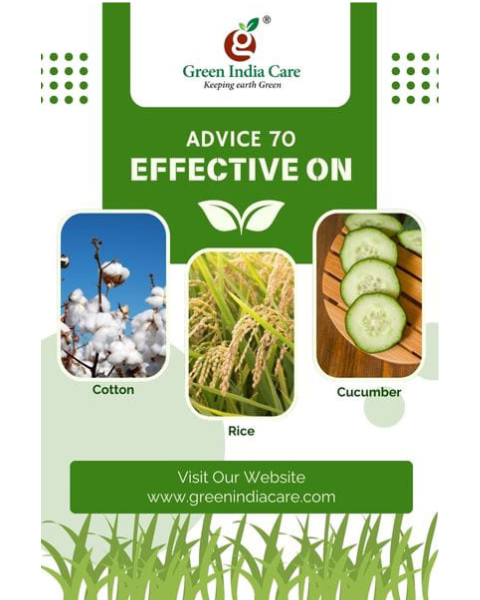 ADVICE 70 Insecticides
