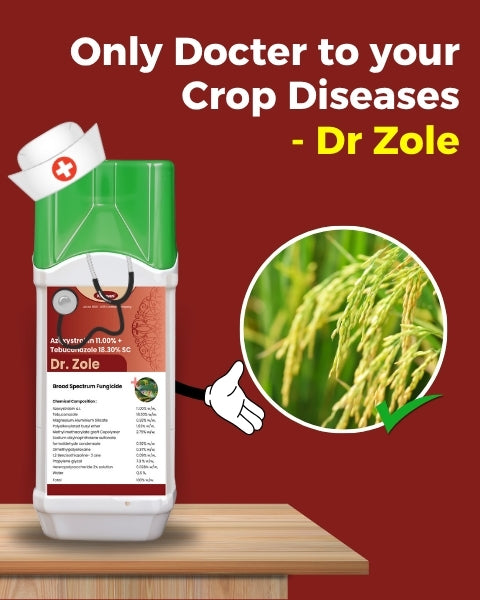 Katyayani Dr. Zole (Azoxystrobin 11% + Tebuconazole 18.3% SC) Fungicide
