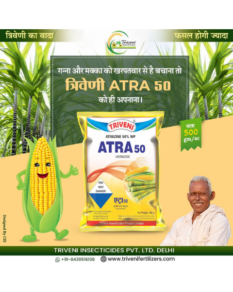 TRIVENI ATRA 50% - Herbicides