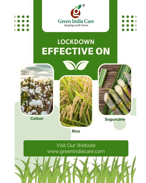 LOCKDOWN Insecticides