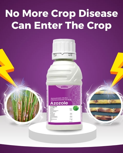Katyayani Azozole (Azoxystrobin 18.2% + Difenoconazole 11.4% SC) Fungicide