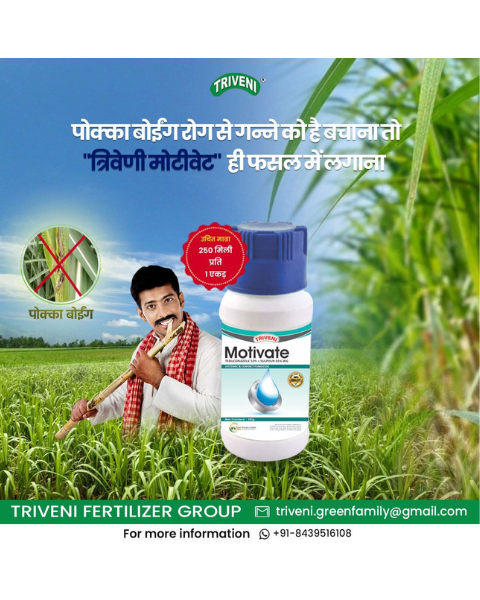 TRIVENI MOTIVATE - Fungicides