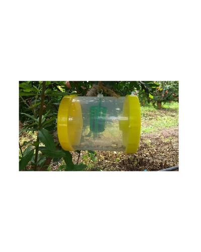 Pheromone Replacement Lures for Helicoverpa armigera Traps & Lures