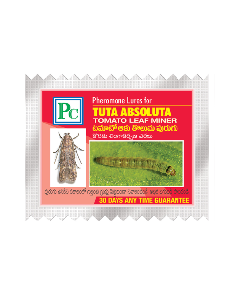 Pheromone Combo Pack Replacement Lures for TOMATO Traps & Lures