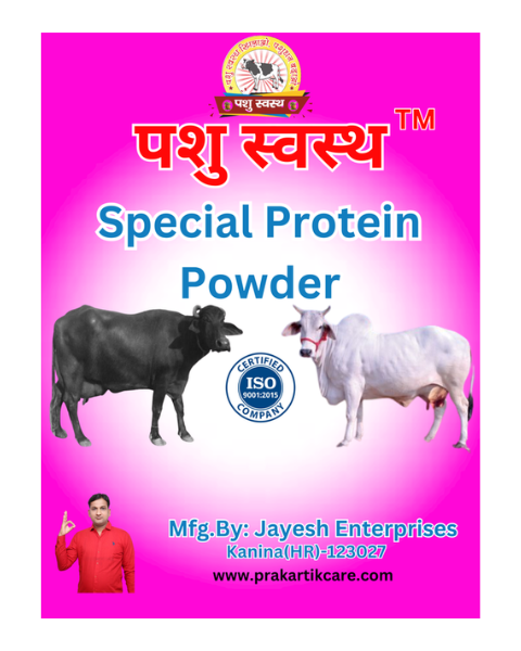 PASHU SVASTH Special Protein Powder (Strength & Stamina Boost) Feed Supplements