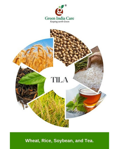 TILA Fungicides