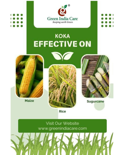 KOKA Insecticides