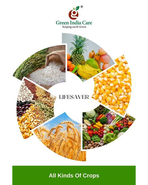 LIFESAVER Adjuvants