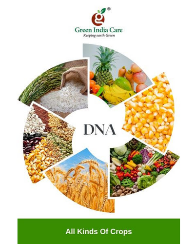 DNA Organic Growth Promoter
