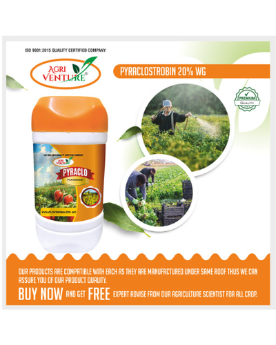 AgriVenture PYRACLO (Pyraclostrobin 20% WG) Fungicides