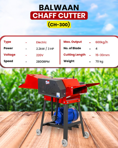BALWAAN CHAFF CUTTER CH-300 (WITH GEAR & MOTOR)
