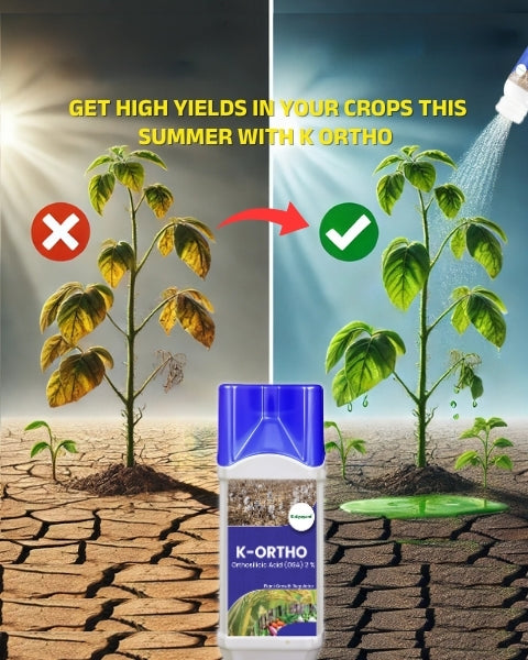 Katyayani K-Ortho (Orthosilicic Acid 2%) Organic Fertilizers