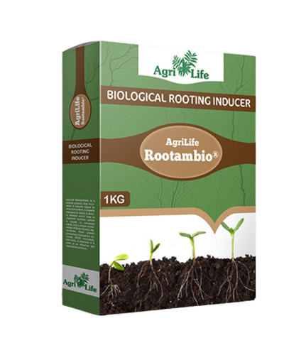 AGRILIFE ROOTAMBIO GR