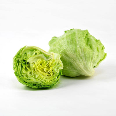 URJA ICEBERG - LETTUCE SEEDS