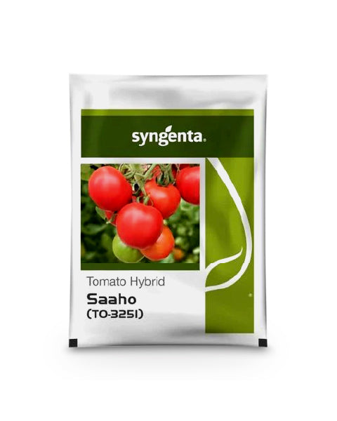 SAAHO TOMATO SEEDS [TO-3251]