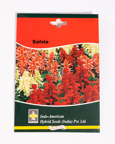 IAHS SALVIA VISTA MIX