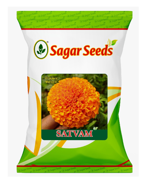 Sagar Satvam F1 Marigold