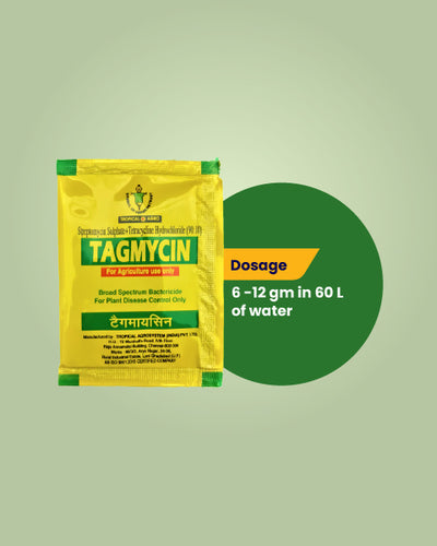 TAGMYCIN BACTERICIDE