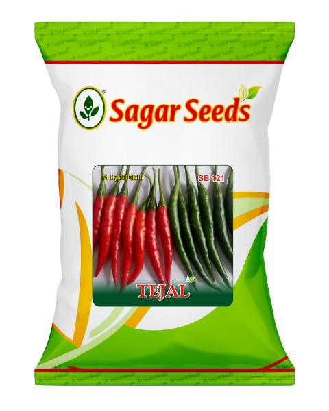 Sagar Tejal F1 Chilli