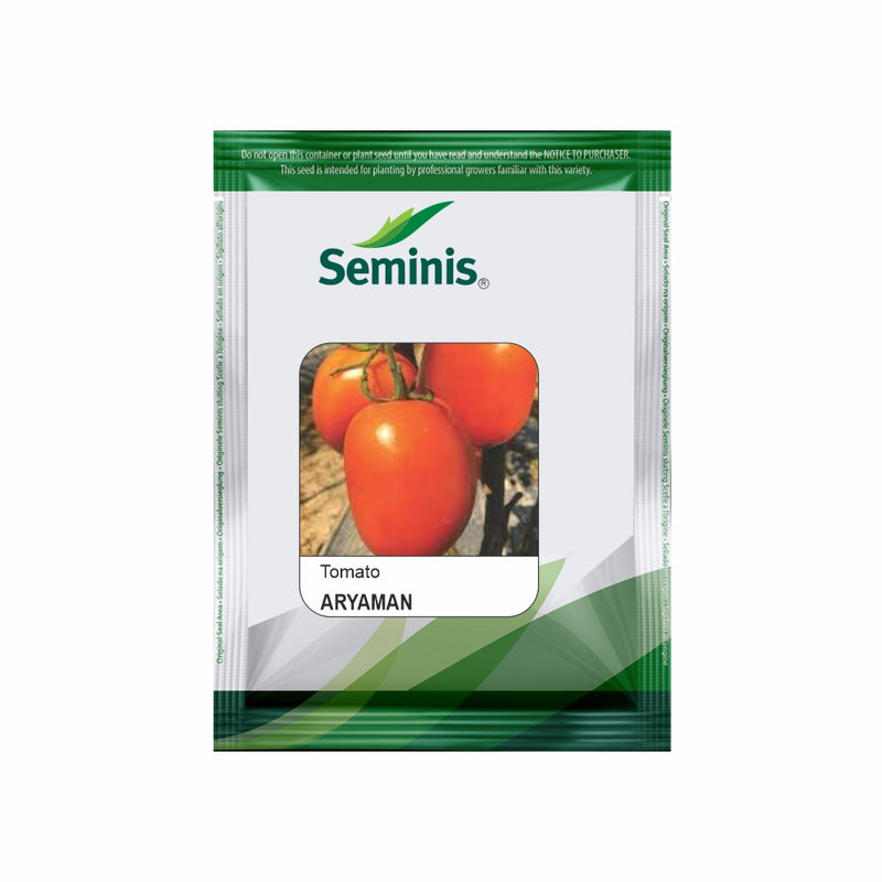 ARYAMAN TOMATO SEEDS