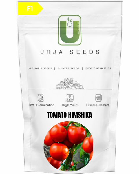 URJA TOMATO F1 HIMSHIKHA