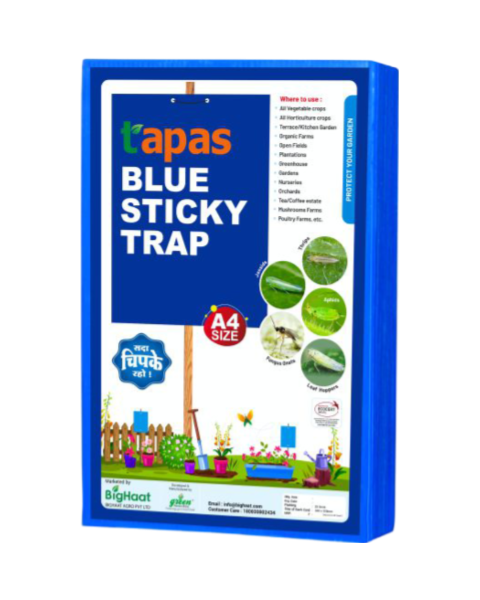 TAPAS  ECO STICKY TRAP A4 SIZE  12*8 INCH (ONLY BLUE)