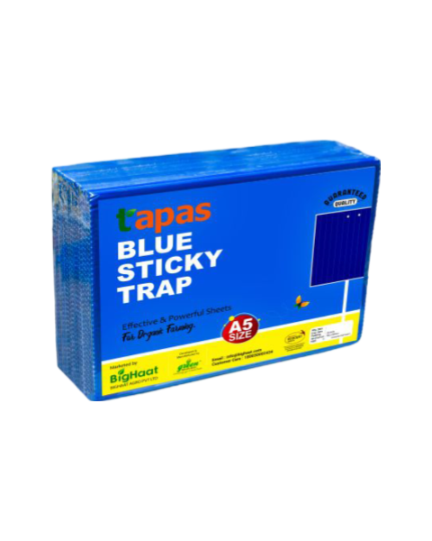 TAPAS  ECO STICKY TRAP A5 SIZE 6*8 INCH ONLY BLUE