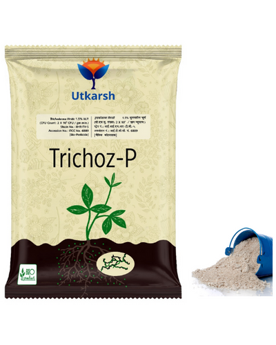 UTKARSH TRICHOZ - P