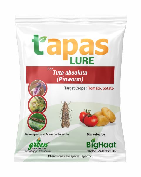 TAPAS PINWORM LURE (TU-TOM LURE)