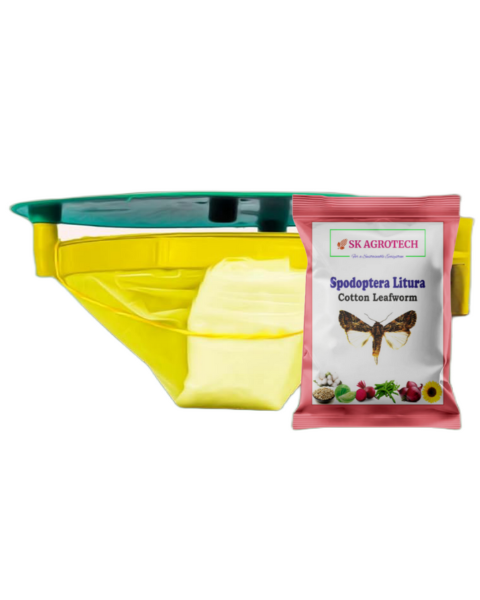 SK AGROTECH SPODOPTERA LITURA PHEROMONE LURE & FUNNEL TRAP