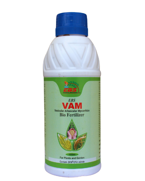 EBS VAM VESICULAR ARBUSCULAR MYCORRHIZA BIO FERTILIZER