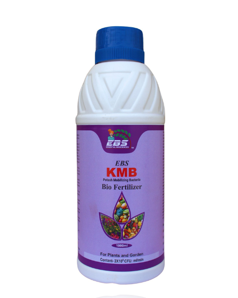 EBS KMB POTASH MOBILIZING BACTERIA BIO-FERTILIZER