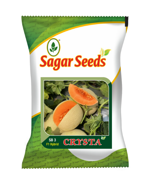 SAGAR CRYSTA F1 MUSKMELON