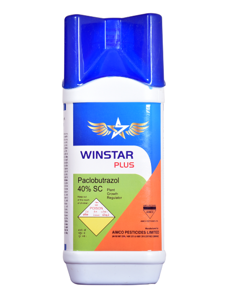 AIMCO WINSTAR PLUS