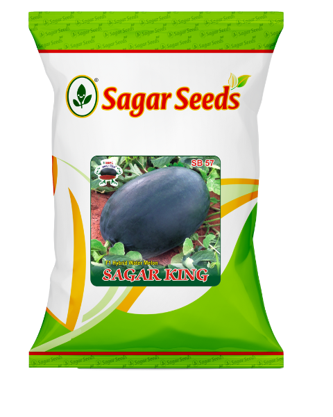 Sagar King Watermelon seeds