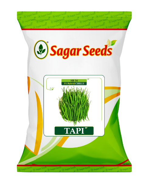 Sagar Tapi F1 chilli seeds