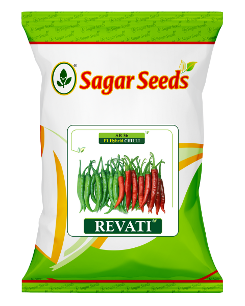 Sagar Revati F1 chilli seeds