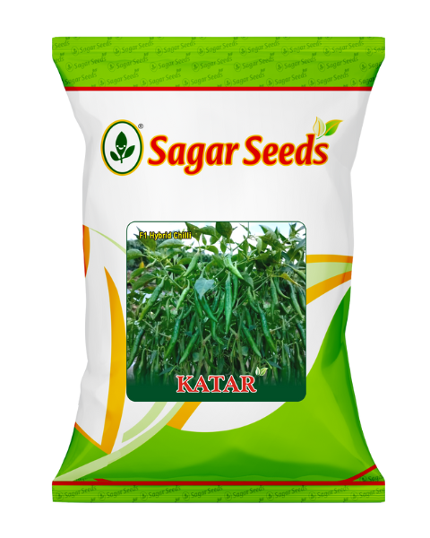 Sagar Katar F1 chilli seeds