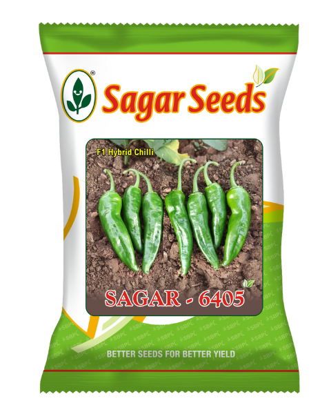 Sagar 6405 F1 chilli seeds