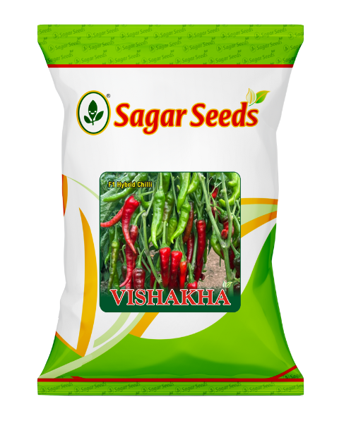 Sagar Vaishakha F1 chilli Seeds