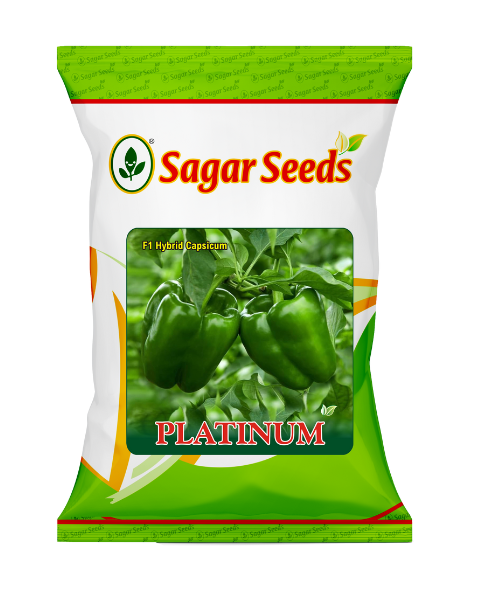 Sagar Platinum F1 Capsicum Seeds