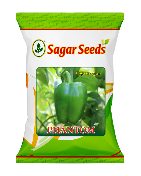 Sagar Phantom F1 Capsicum Seeds