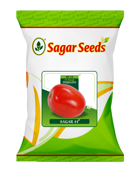 Sagar 44 F1 Tomato Seeds