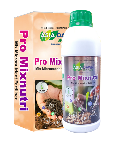 ASIA DAWN PRO MIXNUTRI