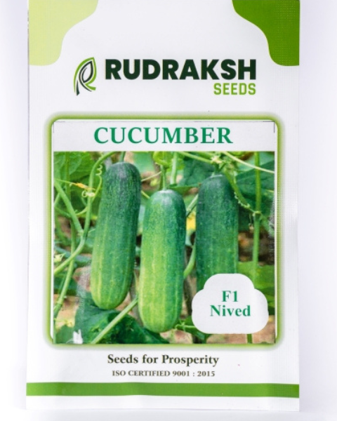 RUDRAKSH F1 NIVED CUCUMBER (GREEN, CYLINDRICAL) SEEDS