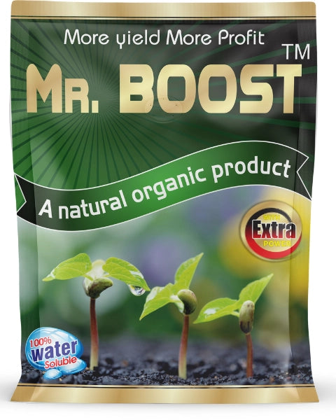 BHUMI MR. BOOST