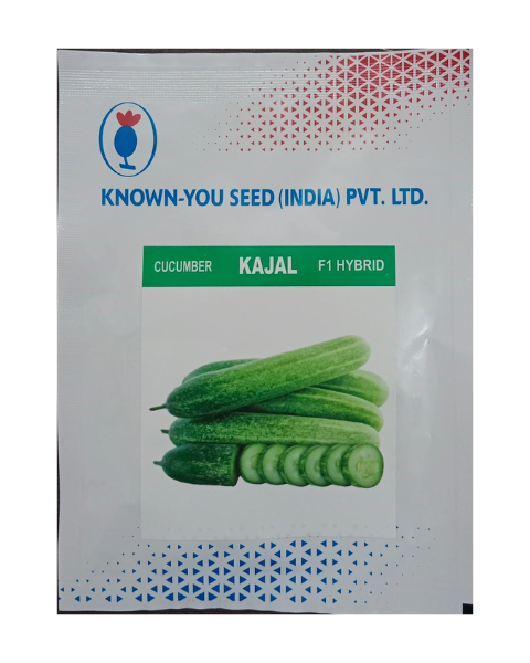 Kajal Cucumber